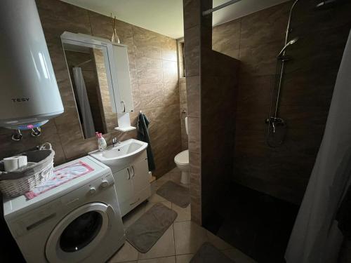uma casa de banho com uma máquina de lavar roupa e um lavatório em Kuća za odmor Balog em Lipik