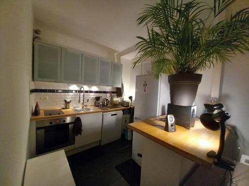 une cuisine avec une plante en pot au-dessus d'un comptoir dans l'établissement Appartement Batignolles pour 2 pers, à Paris