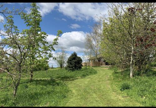 a dirt road in a grassy field with trees at Woodpecker Lodge- A Pet Friendly Rural Retreat in Callington