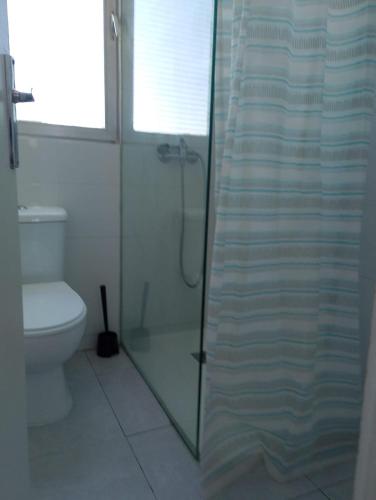 y baño con ducha de cristal y aseo. en Apartamento Chamberí, en Madrid