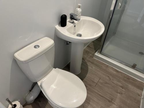 La salle de bains est pourvue de toilettes blanches et d'un lavabo. dans l'établissement Grace Dieu Manor Park, à Thringstone