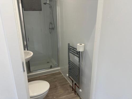 a bathroom with a toilet and a sink and a shower at Grace Dieu Manor Park in Thringstone