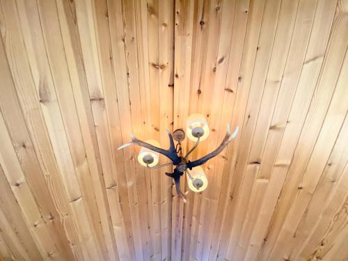 een plafond met een licht op een houten muur bij Blair Tiny House with Private Hot Tub - Pet Friendly- Fife - Loch Leven - Lomond Hills in Dunfermline