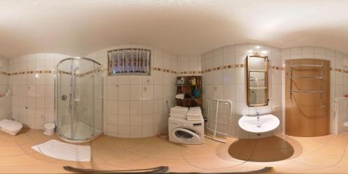 マイスホーフェンにあるHawis Appartementのバスルーム(シャワー、トイレ、シンク付)