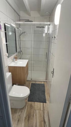 une salle de bain avec une douche, des toilettes et un lavabo dans l'établissement Cottage de la Mer, au Crotoy