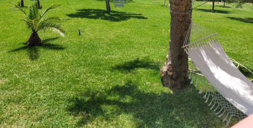 una hamaca atada a un árbol en un parque en Al Boschetto, en Melizzano