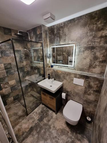 a bathroom with a toilet and a sink at Apartman - Centrum in Bratislava