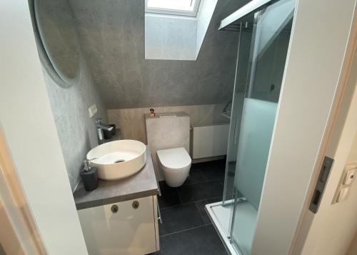 La petite salle de bains est pourvue de toilettes et d'un lavabo. dans l'établissement Up de Ring 26-28 Ferienwohnung 50175, à Carolinensiel