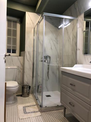 科英布拉的住宿－Quebra Costas House，带淋浴、卫生间和盥洗盆的浴室
