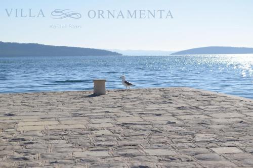 a bird standing on a stone pier next to the water at Apartments Villa Ornamenta in Kaštela