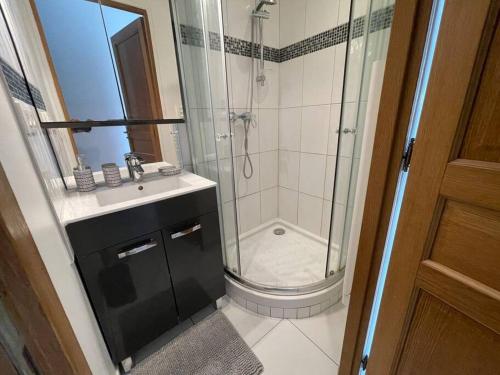 een badkamer met een douche en een wastafel bij Élégant appartement, véranda cosy in Poissy