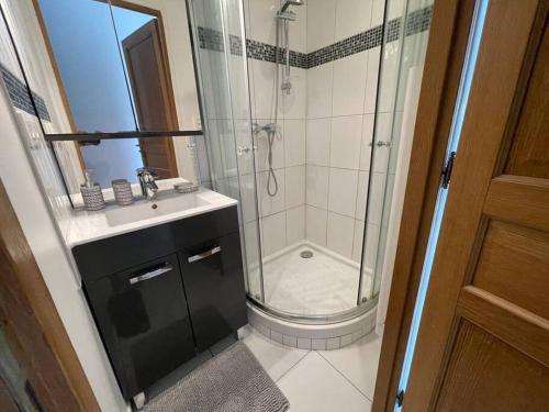 une salle de bain avec douche et lavabo dans l'établissement Élégant appartement, véranda cosy, à Poissy