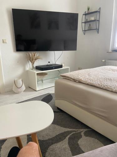 a bedroom with a bed and a flat screen tv at Ruhig gelegene 2z Wohnung in Seelze