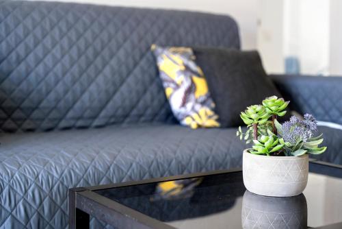 a living room with a couch and a table with a potted plant at Apartamento La Concha in Candelaria