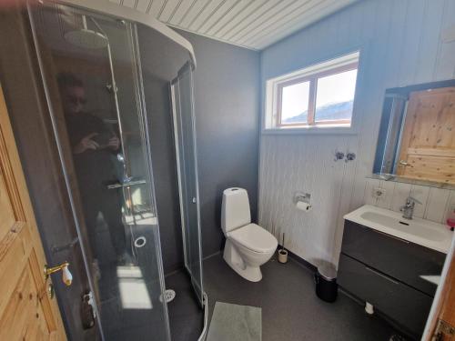 uma casa de banho com um chuveiro, um WC e um lavatório. em Geysir Cabins - Golden Circle Cabin only 800m from Geysir em Selfoss