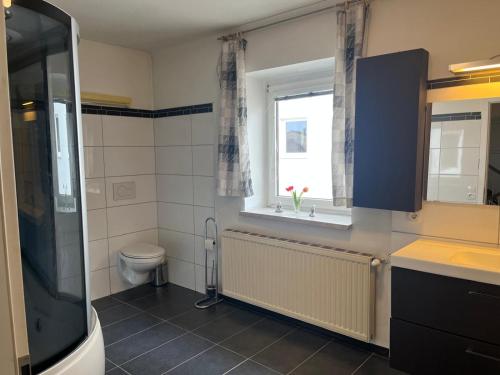 a bathroom with a toilet and a window at Ferienwohnung Rohrbacher Herz in Rohrbach in Oberösterreich