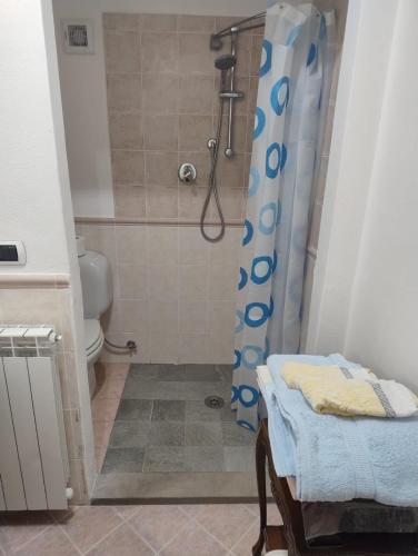 a bathroom with a shower with a toilet and a table at Casa Claudia in Capannori