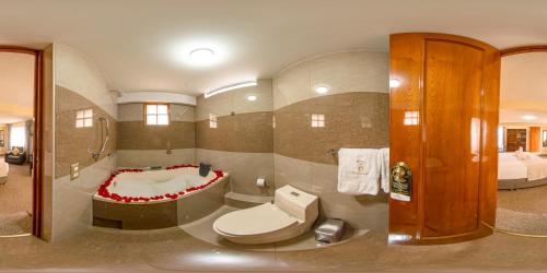 阿雷基帕的住宿－Hotel Maison Du Solei，一间带卫生间和水槽的浴缸的浴室