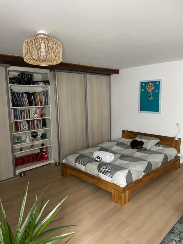 een slaapkamer met een bed en een boekenplank bij B&B chez Sylvain in Beaugency