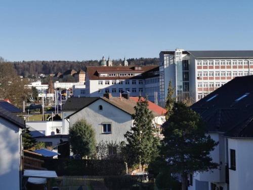 uma vista para uma cidade com edifícios e árvores em Geräumige schöne Ferienwohnung em Weingarten