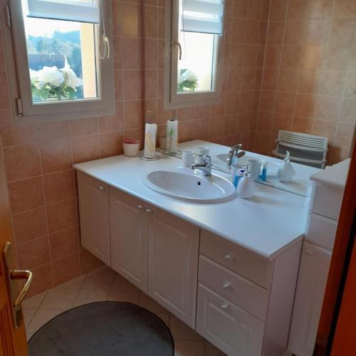 La salle de bains est pourvue d'un lavabo blanc et de 2 fenêtres. dans l'établissement Le coin des oiseaux, à Carsac-Aillac