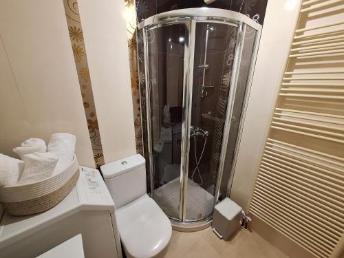 uma casa de banho com chuveiro e WC em Serenity Heights Ioannina em Neochorópoulon