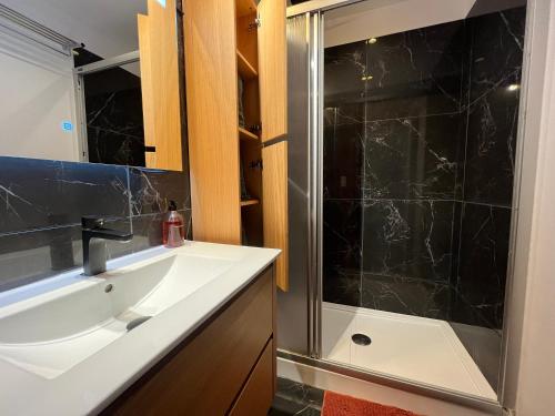 a bathroom with a sink and a shower at Les Rives Rémoises in Reims