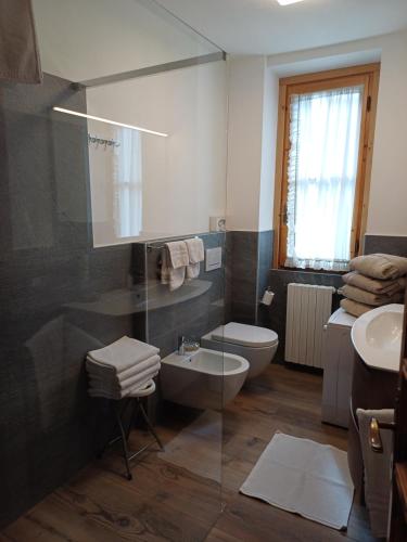 a bathroom with a toilet and a sink at Bormio Flat in Bormio