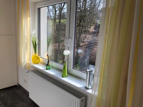 a window with vases and flowers on a window sill at Fewo Pyramideneiche Detmold/Berlebeck, naturnah in Detmold