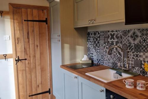 uma cozinha com um lavatório e uma bancada em Cosy Owl - Shepherds Hut em Longford