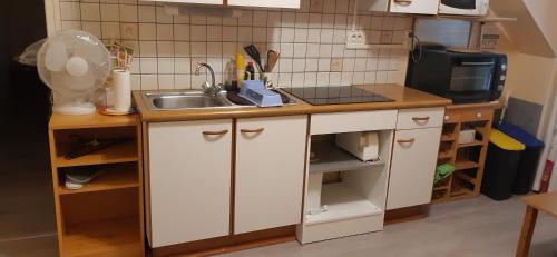 une petite cuisine avec un évier et un micro-ondes dans l'établissement LE SELECT- BALAINE, à Néris-les-Bains