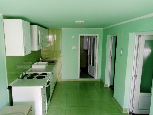 a green kitchen with a stove and a sink at Apartmani Stojković 2 in Kuršumlija