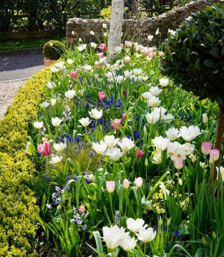 a flower garden with white and pink flowers at Bentley Rise in Lyme Regis