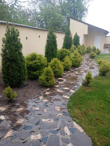 a garden with a stone path and bushes at Izabella Guest House in Săcele
