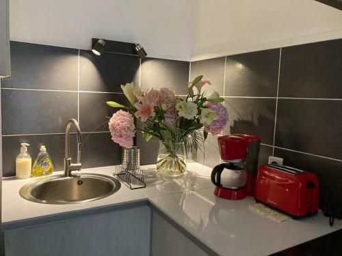 ヴィラール・レ・ドンブにあるLe Pélican Villardois - 2 chambres - centreの花瓶とシンク付きのキッチンカウンター