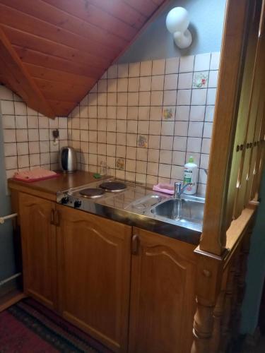 a kitchen with a sink and a counter top at Na Brzegu in Szczyrk