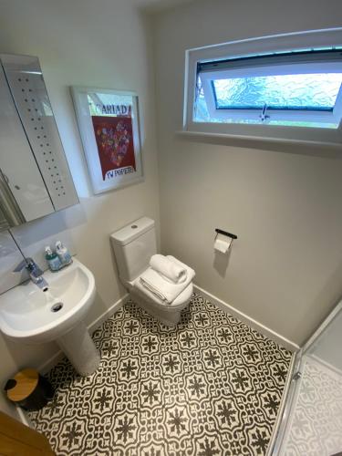 a bathroom with a sink and a toilet and a window at Glyndwr Way Cabin in Machynlleth