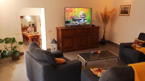 sala de estar con 2 sillas y TV de pantalla plana en Casa Cocola, en Cerovlje
