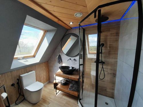 a bathroom with a shower and a toilet and a sink at Chata nad Termami in Dzianisz