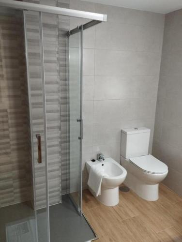 a bathroom with a toilet and a glass shower stall at Apartamentos Mar y Playa in Moaña