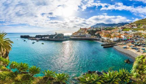 Apartment in Camara de Lobos not shared
