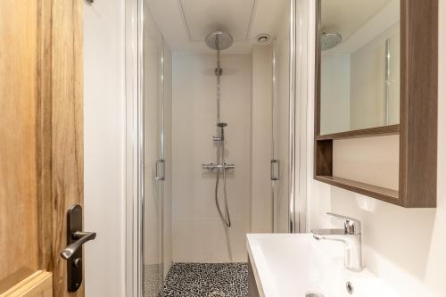 une salle de bain avec douche et lavabo dans l'établissement Raisin- appartement familial donnant sur la Sorgue, à LʼIsle-sur-la-Sorgue