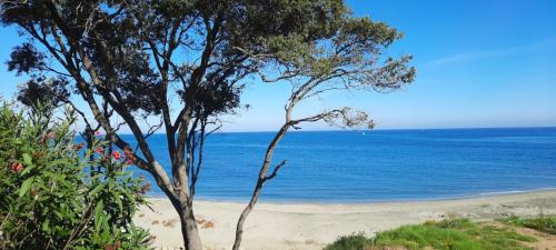 T3 vue mer direct plage clim N79