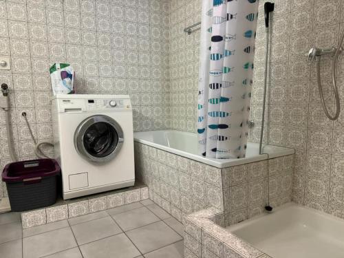 a washing machine in a bathroom with a shower at Charming Apartment w/Terrace on Lake and Mountain in Weggis