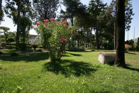 a bush with pink flowers in a park at Grand Hotel Fagiano Palace in Formia