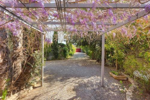 une pergola avec des fleurs violettes sur un chemin dans l'établissement Mas Elisange, à Perpignan