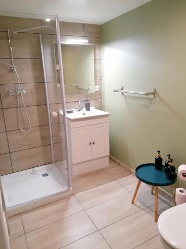 une salle de bain avec douche et lavabo dans l'établissement Tianaina Navette possible, à Marly-la-Ville