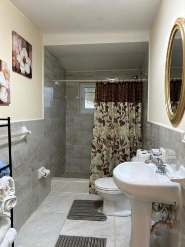 uma casa de banho com um lavatório, um WC e um chuveiro em Treasures of Andros em Love Hill