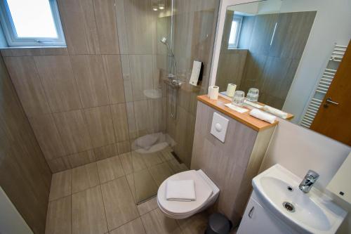 een badkamer met een douche, een toilet en een wastafel bij Glacier World - Hoffell Guesthouse in Hoffell