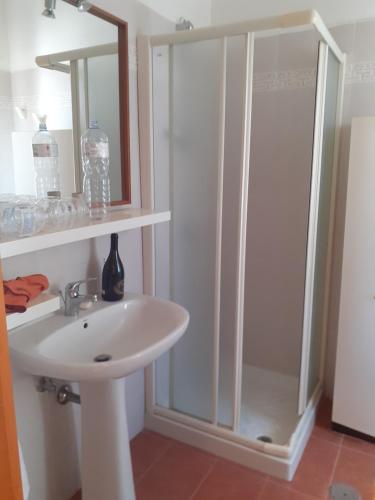 ein Badezimmer mit einem weißen Waschbecken und einer Dusche in der Unterkunft CASA GINA in Sammichele di Bari